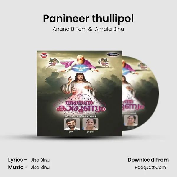 Panineer thullipol MP3 Song by Anand B Tom Cover