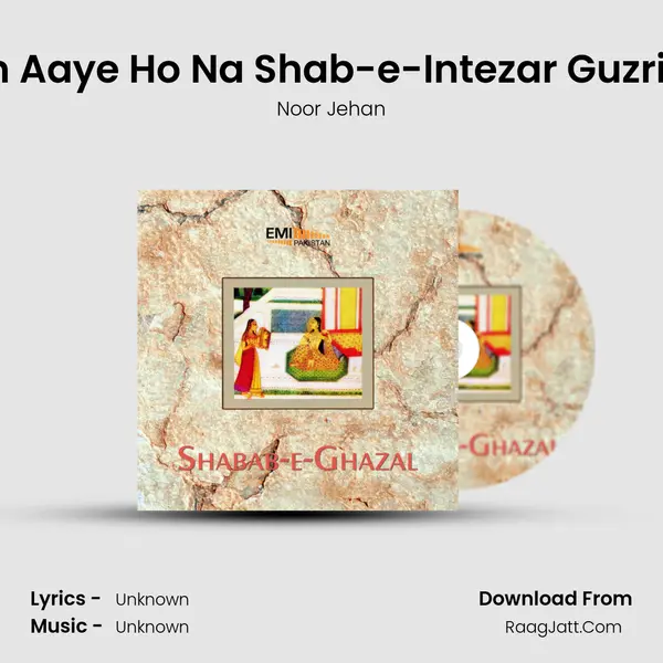 Tum Aaye Ho Na Shab-e-Intezar Guzri Hai MP3 Song by Noor Jehan Cover