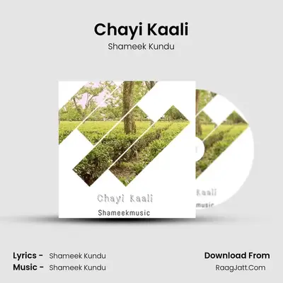 Manzile-Chayi Kaali - Shameek Kundu