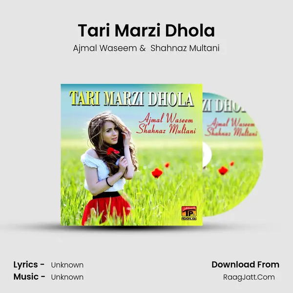 Tari Marzi Dhola mp3 song