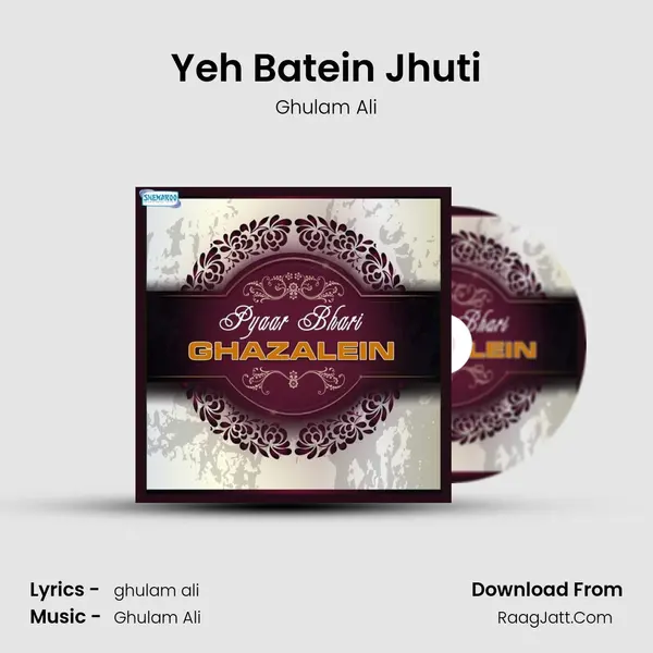 Yeh Batein Jhuti Cover