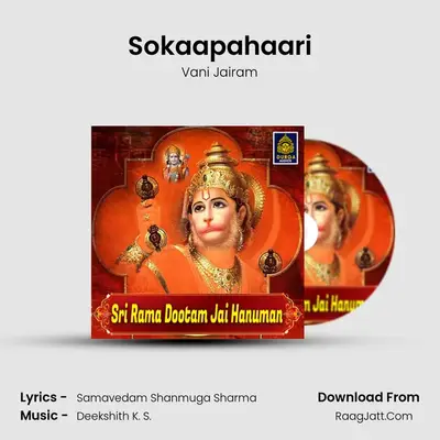Sokaapahaari MP3 Song by Vani Jairam Cover