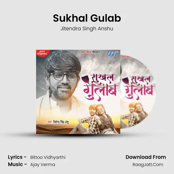 Sukhal Gulab MP3 Song by Jitendra Singh Anshu Cover