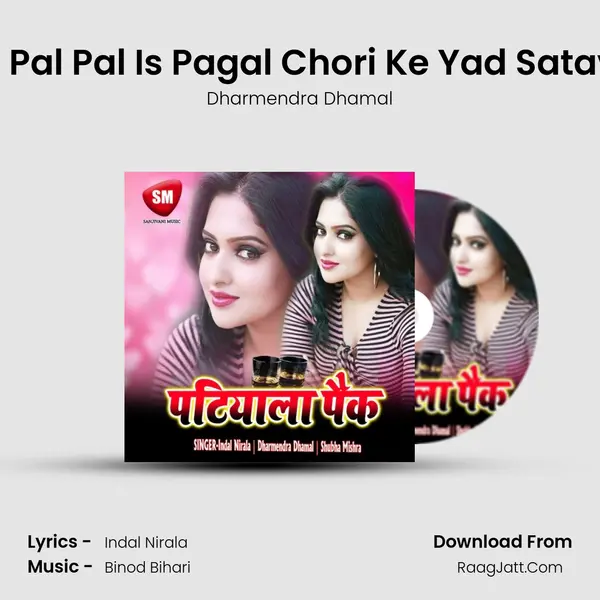 Tene Pal Pal Is Pagal Chori Ke Yad Satavi Ge MP3 Song by Dharmendra Dhamal Cover