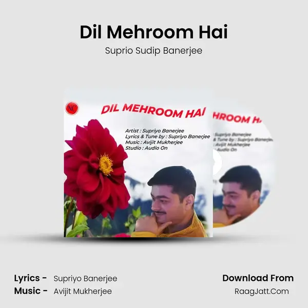 Dil Mehroom Hai MP3 Song by Suprio Sudip Banerjee Cover