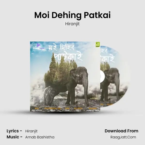 Moi Dehing Patkai MP3 Song by Hiranjit Cover