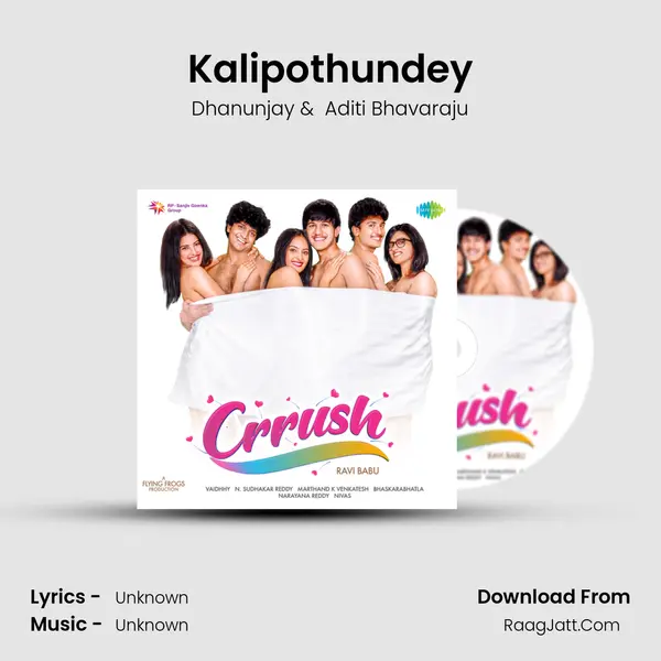 Kalipothundey MP3 Song by Dhanunjay Cover