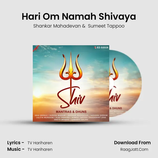 Hari Om Namah Shivaya Cover