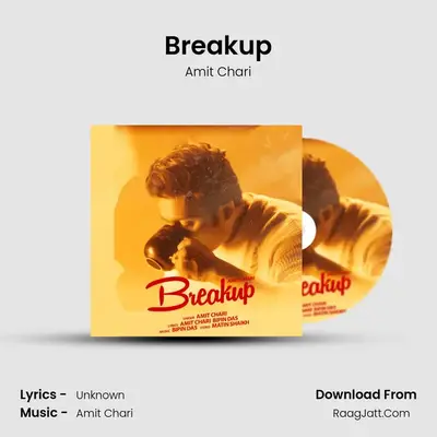 Breakup Cover
