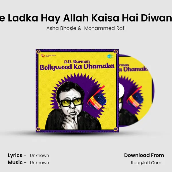 Ye Ladka Hay Allah Kaisa Hai Diwana Cover