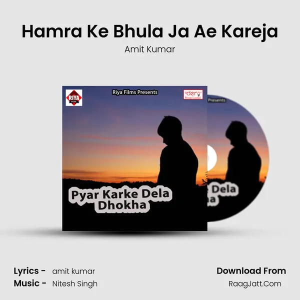 Hamra Ke Bhula Ja Ae Kareja MP3 Song by Amit Kumar Cover