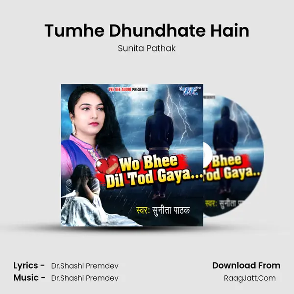 Tumhe Dhundhate Hain MP3 Song by Sunita Pathak Cover