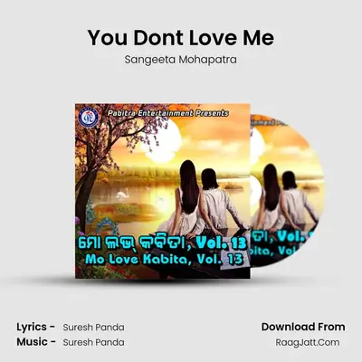 You Don&#x27;t Love Me mp3 song
