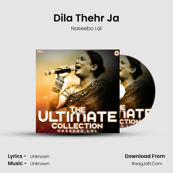 Dila Thehr Ja MP3 Song by Naseebo Lal Cover