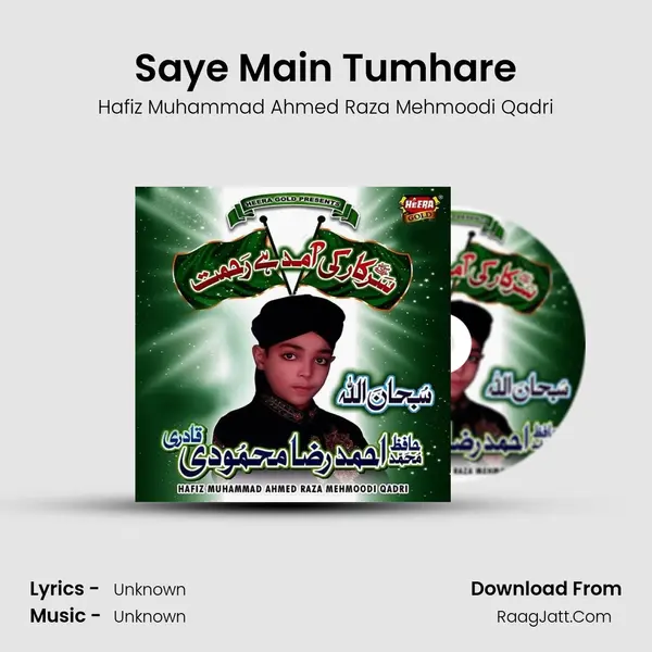 Saye Main Tumhare MP3 Song by Hafiz Muhammad Ahmed Raza Mehmoodi Qadri Cover