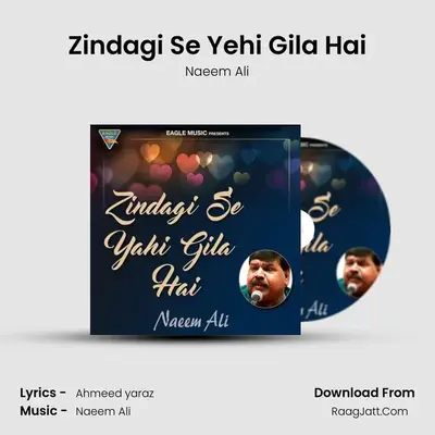 Zindagi Se Yehi Gila Hai - Naeem Ali