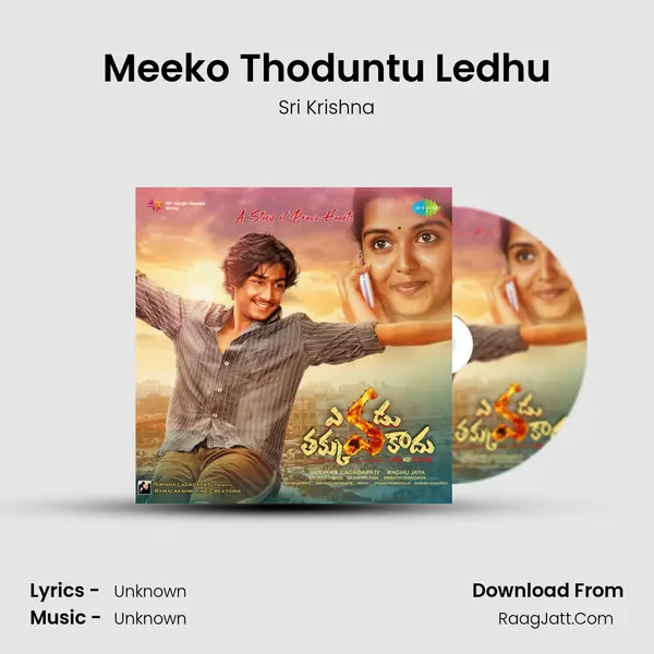 Meeko Thoduntu Ledhu MP3 Song by Sri Krishna Cover