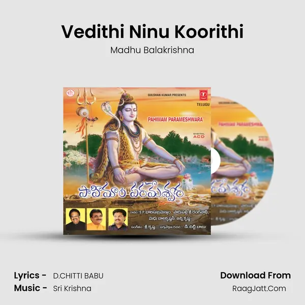 Vedithi Ninu Koorithi MP3 Song by Madhu Balakrishna Cover
