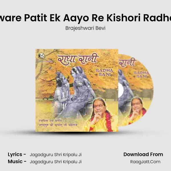 Dware Patit Ek Aayo Re Kishori Radhey MP3 Song by Brajeshwari Bevi Cover