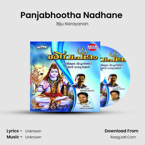 Panjabhootha Nadhane (M) MP3 Song by Biju Narayanan Cover