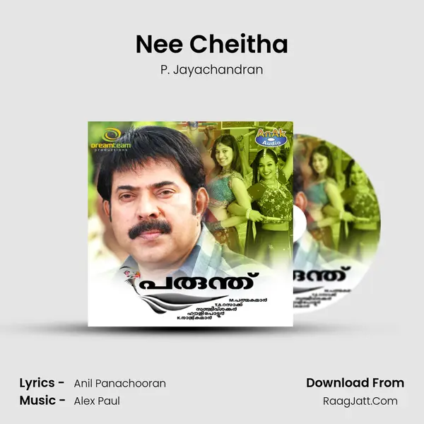 Nee Cheitha MP3 Song by P. Jayachandran Cover