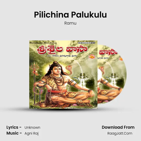 Pilichina Palukulu Cover