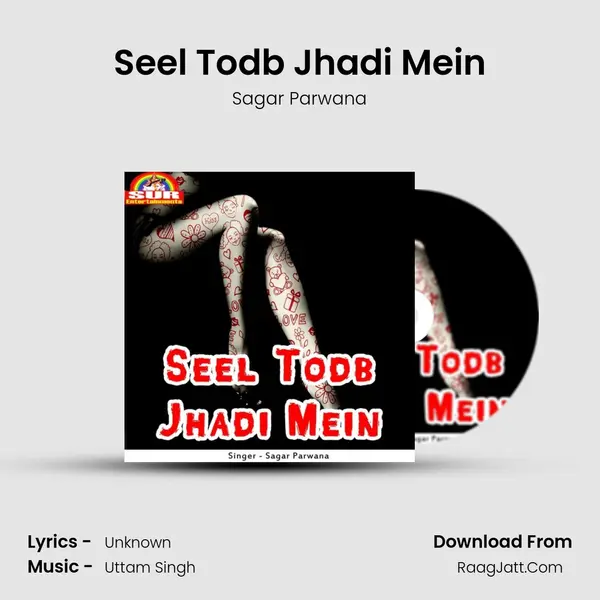 Seel Todb Jhadi Mein MP3 Song by Sagar Parwana Cover
