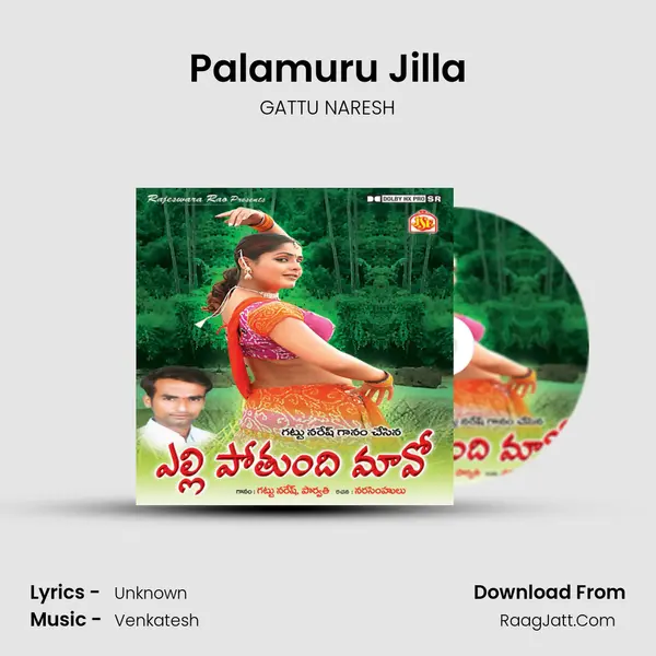 Palamuru Jilla MP3 Song by GATTU NARESH Cover