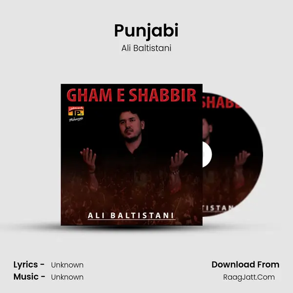 Punjabi MP3 Song by Ali Baltistani Cover