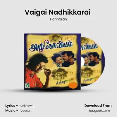 Vaigai Nadhikkarai (From "Nilave Mugam Kaattu") Cover
