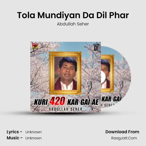 Tola Mundiyan Da Dil Phar MP3 Song by Abdullah Seher Cover