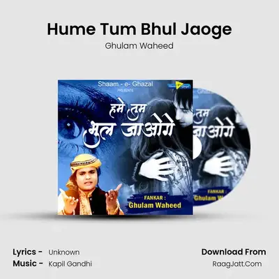 Hume Tum Bhul Jaoge mp3 song