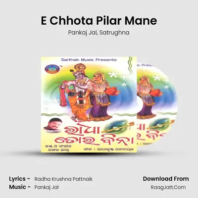 E Chhota Pilar Mane MP3 Song by Pankaj Jal Cover
