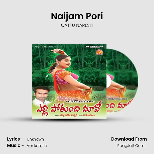 Naijam Pori MP3 Song by GATTU NARESH Cover