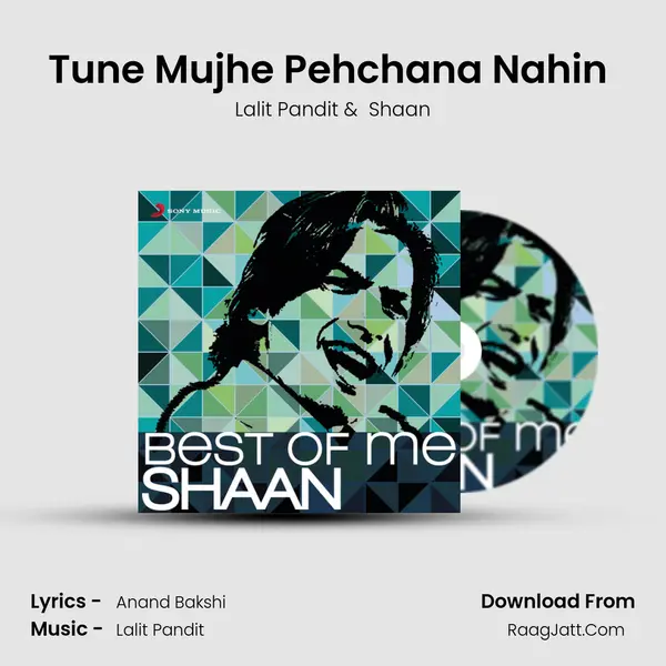 Tune Mujhe Pehchana Nahin (From "Raju Chacha") Cover