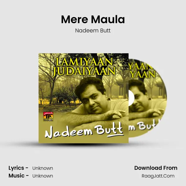 Mere Maula MP3 Song by Nadeem Butt Cover