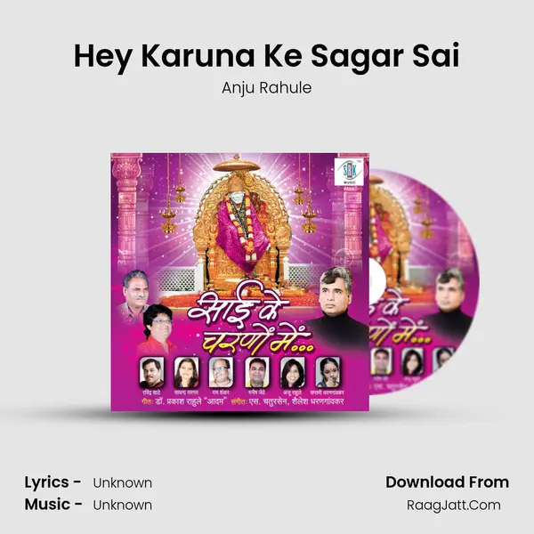 Hey Karuna Ke Sagar Sai MP3 Song by Anju Rahule Cover