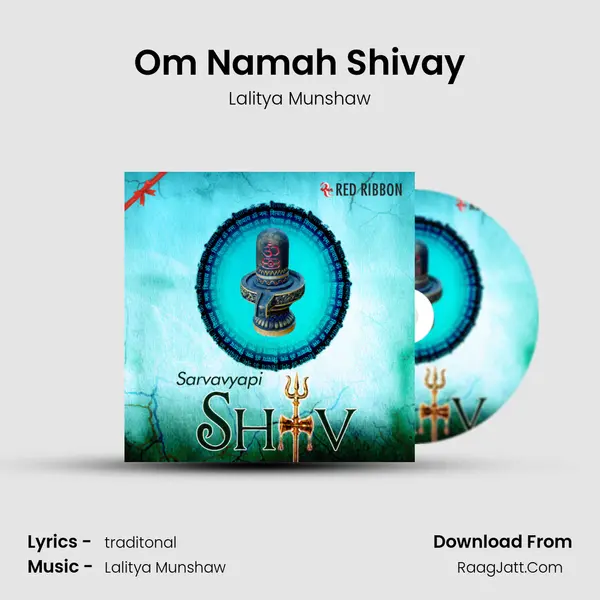 Om Namah Shivay Cover