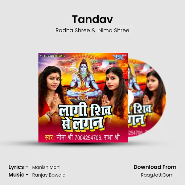 Tandav MP3 Song by Radha Shree Cover