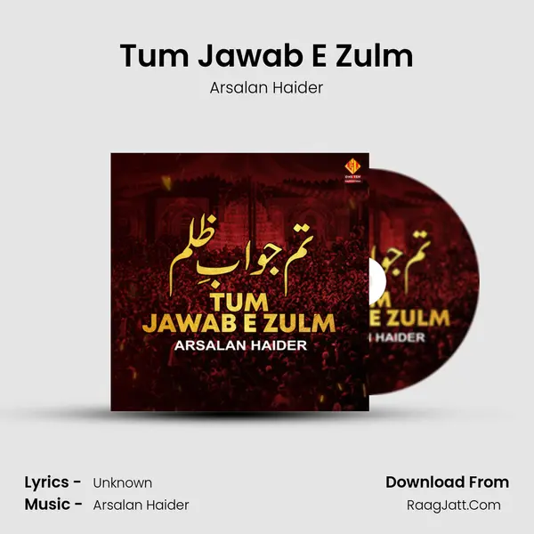 Tum Jawab E Zulm MP3 Song by Arsalan Haider Cover