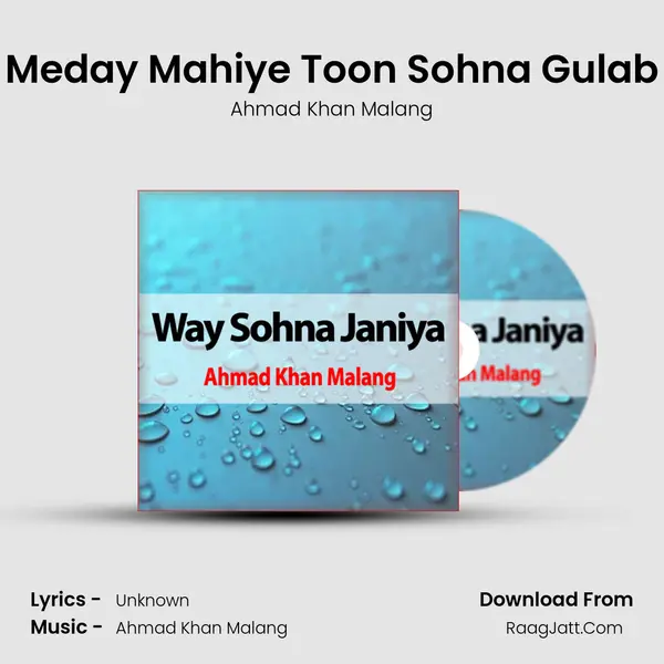 Meday Mahiye Toon Sohna Gulab MP3 Song by Ahmad Khan Malang Cover