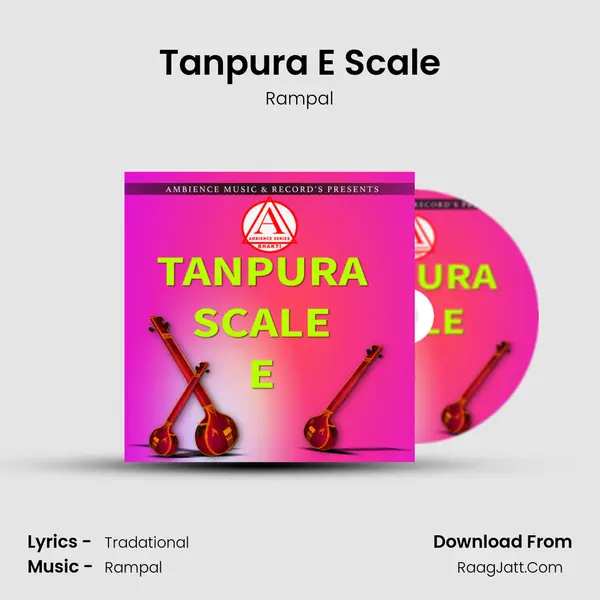 Tanpura E Scale Cover