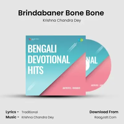 Brindabaner Bone Bone (Mishra Sindhu) mp3 song