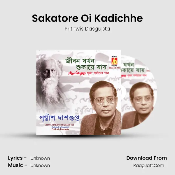 Sakatore Oi Kadichhe MP3 Song by Prithwis Dasgupta Cover