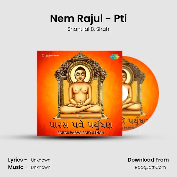 Nem Rajul - Pti Cover