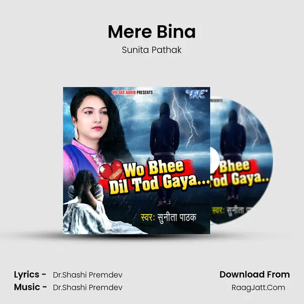 Mere Bina MP3 Song by Sunita Pathak Cover
