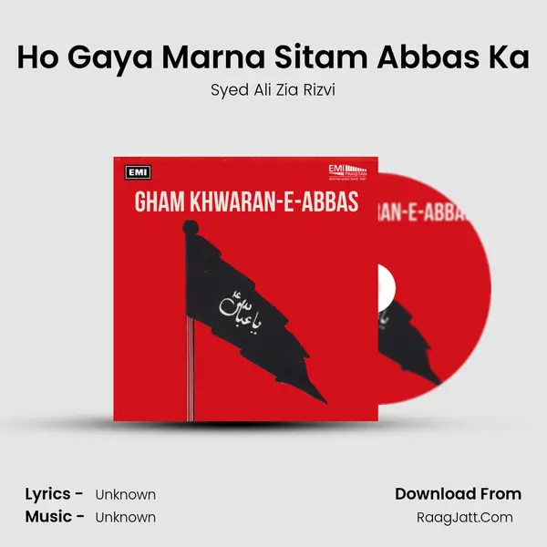 Ho Gaya Marna Sitam Abbas Ka MP3 Song by Syed Ali Zia Rizvi Cover
