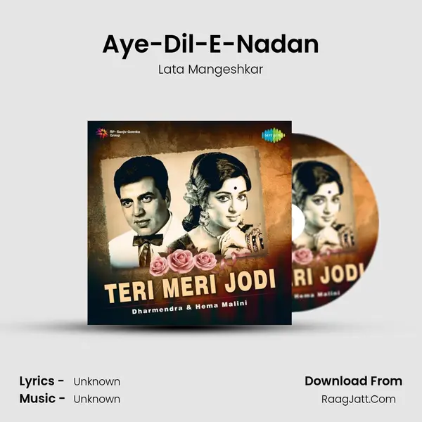 Aye-Dil-E-Nadan Cover