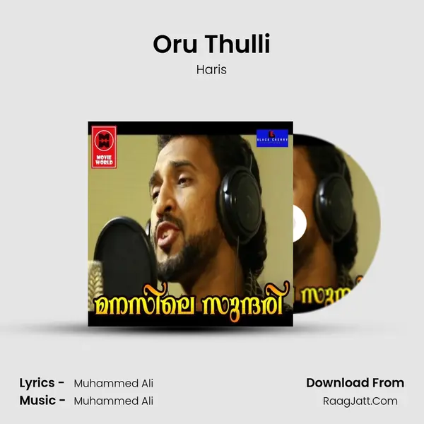 Oru Thulli MP3 Song by Haris Cover