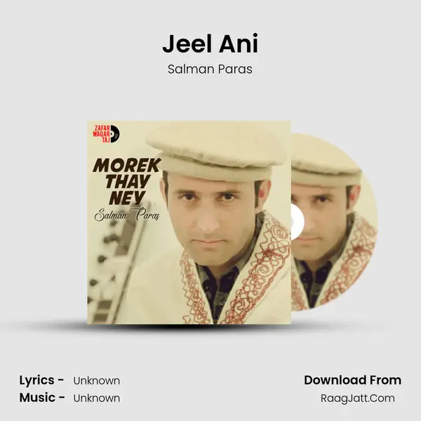 Jeel Ani MP3 Song by Salman Paras Cover
